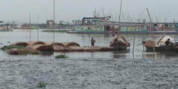 প্রশাসনের নিরব ভুমিকা, থামছে না মেঘনা নদীর অবৈধ বালু উত্তোলন