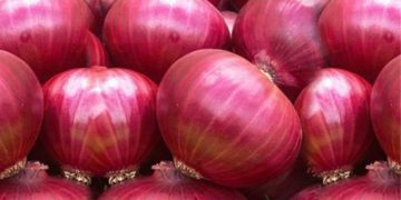 ভারত পেঁয়াজ রপ্তানিতে নিষেধাজ্ঞা তুলে নিল