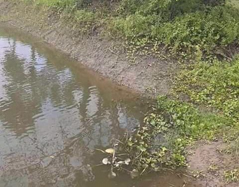 পুকুরে ভাসছে শিশু,গাছে মায়ের লাশ