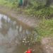 পুকুরে ভাসছে শিশু,গাছে মায়ের লাশ