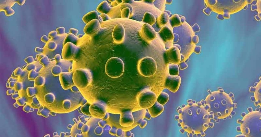 সোনারগাঁয়ের প্রথম করোনা রোগী সুস্থ হয়ে বাড়ি ফিরেছে।