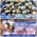 হামরকোনা বয়েস ক্লাব ও বঙ্গবন্ধু মানবকল্যাণ সংস্থার উদ্যোগে সবজি বিতরণ
