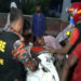মৌলভীবাজার মনু নদীতে নৌকা ডুবির ৩ ঘন্টা পর লাশ উদ্ধার