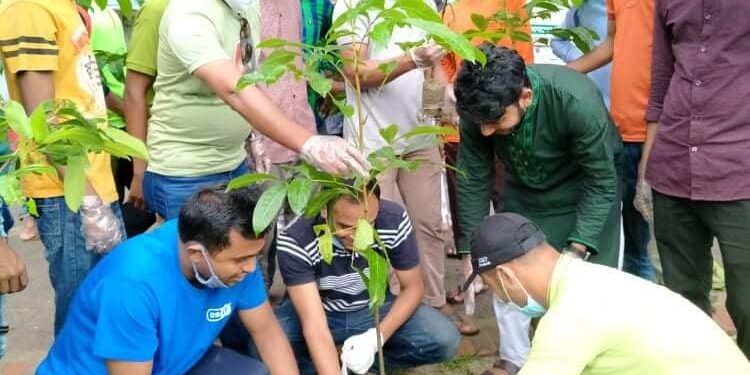 মেহেদী হাসান তাপসের উদ্যোগে ছাত্রলীগের বৃক্ষরোপণ