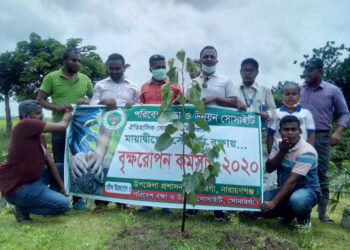 মায়াদ্বীপ হবে পর্যটন কেন্দ্র, ৭৫০ টি বৃক্ষ রোপন করলেন ইউএনও মো: সাইদুল ইসলাম