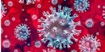 সোনারগাঁয়ে করোনা উপসর্গ নিয়ে ৩ জনের মৃত্যু।