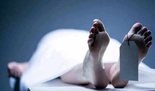 জামালপুরে বিদ্যুৎস্পৃষ্ট হয়ে এক কৃষকের মৃত্যু