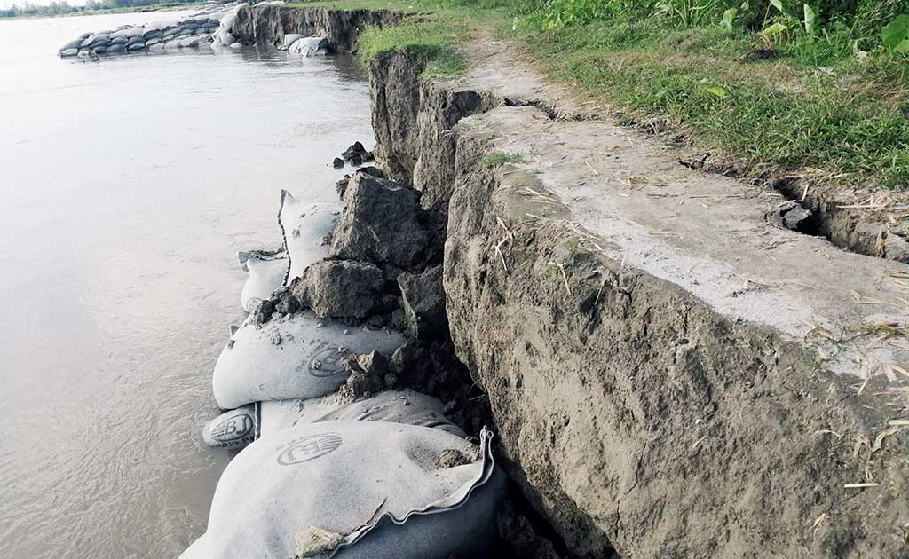 টাঙ্গাইলে বাড়ছে যমুনার ভাঙন
