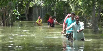 যমুনা নদীর পানিতে ভাসছে বাড়িঘর-ব্যবসা প্রতিষ্ঠান