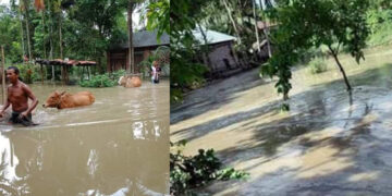 আত্রাইয়ে বন্যা পরিস্থিতির অবনতি,পানি বন্দি কয়েক হাজার মানুষ