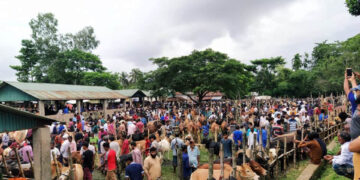 মৌলভীবাজার পশুর হাটে মানা হচ্ছে না সামাজিক দুরত্ব, কেউই ব্যবহার করছে না মাস্ক