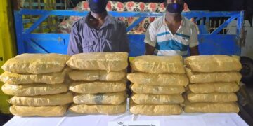 জয়পুরহাটে ৫০ কেজি গাঁজাসহ দুই মাদক ব্যবসায়ী গ্রেফতার