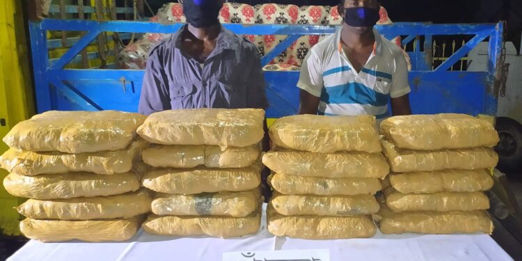 জয়পুরহাটে ৫০ কেজি গাঁজাসহ দুই মাদক ব্যবসায়ী গ্রেফতার