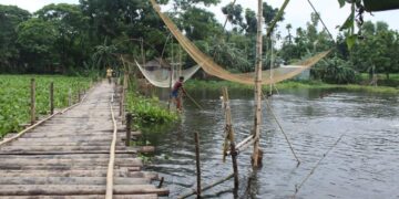 শুভ দৃষ্টির অপেক্ষায় কালনীকান্দা সাঁকু