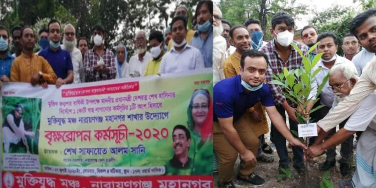 নারায়ণগঞ্জ মহানগর মু‌ক্তিযুদ্ধ মঞ্চের বৃক্ষরোপণ কর্মসূচি