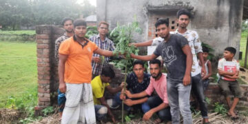 ছাত্রলীগ নেতা সজিব এর উদ্যোগে বৃক্ষ রোপণ