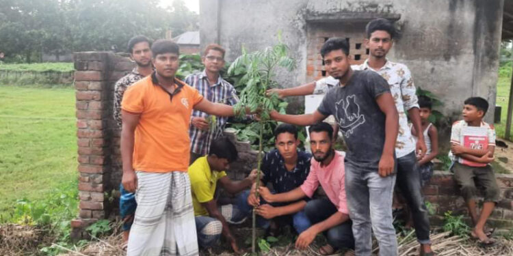 ছাত্রলীগ নেতা সজিব এর উদ্যোগে বৃক্ষ রোপণ
