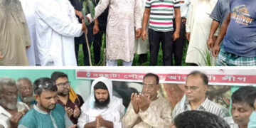 প্রধানমন্ত্রীর জন্মদিনে নওহাটা পৌরসভা আওয়ালীগের উদ্যোগে বৃক্ষ রোপন,আলোচনা সভা ও দোয়া মাহফিল