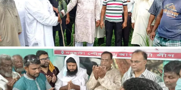 প্রধানমন্ত্রীর জন্মদিনে নওহাটা পৌরসভা আওয়ালীগের উদ্যোগে বৃক্ষ রোপন,আলোচনা সভা ও দোয়া মাহফিল