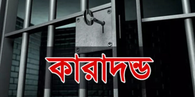 ঝালকাঠিতে পৃথক ২টি মাদক মামলায় ৩ জনকে কারাদন্ড