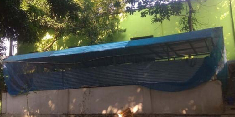 সোনারগাঁয়ে গরুর খামারে দূর্ধর্ষ ডাকাতি,৯টি গরু লুট