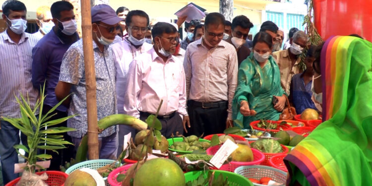 ঝালকাঠিতে ৩ দিন ব্যাপি কৃষি প্রযুক্তি মেলা শুরু