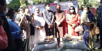 রাণীশংকৈলে বিনামূল্যে কৃষকের মাঝে সার বীজ প্রণোদনা প্রদান