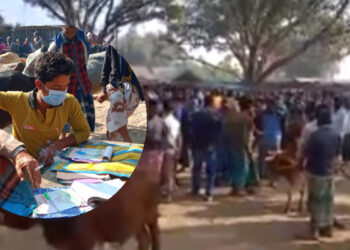 রাণীশংকৈল কাতিহার গরুর হাটে অতিরিক্ত টোল আদায়