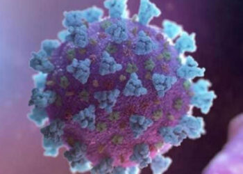 বগুড়ায় নতুন করে আরও ১৪ জন করোনায় আক্রান্ত