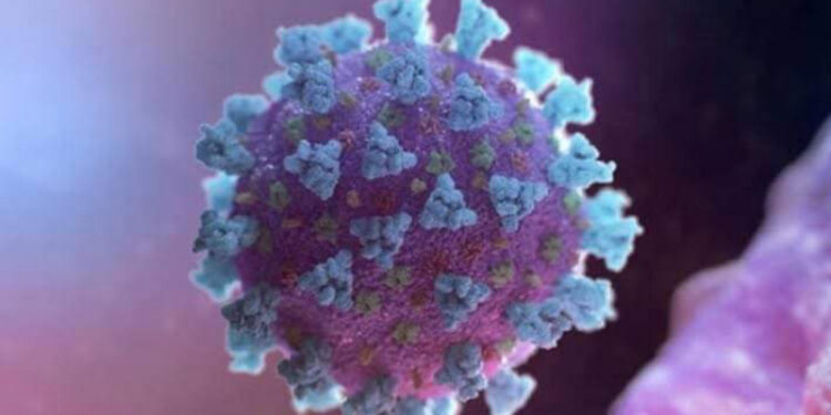 বগুড়ায় নতুন করে আরও ১৪ জন করোনায় আক্রান্ত