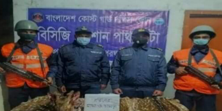 পাথরঘাটায় হরিণের চামড়া ও মাথা উদ্ধার