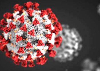 বগুড়ায় আবারও  ৮ জন করোনায় আক্রান্ত