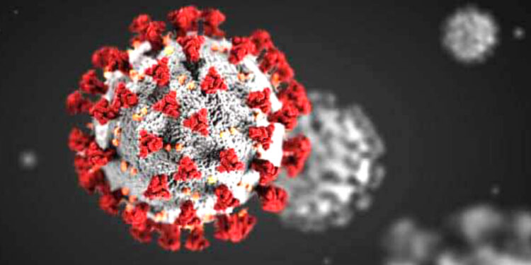 বগুড়ায় আবারও ৮ জন করোনায় আক্রান্ত