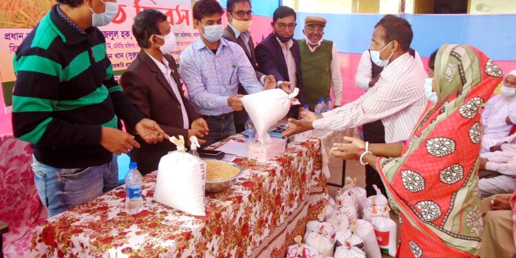 ঝালকাঠিতে উফশী আমন ধান ব্রি-৭৬ প্রদর্শনীর মাঠ দিবস ও  বীজ বিতরণ