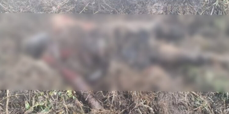 সোনারগাঁয়ে বিলে পড়ে ছিল যুবকের লাশ, ৯৯৯-এ কল পেয়ে উদ্ধার