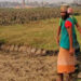 বন্দরে মসজিদের জমি দখল ও মাটি কাটার অভিযোগ