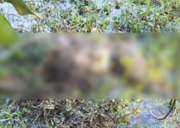 সোনারগাঁয়ে বস্তা ভর্তি অবস্থায় অটো চালকের লাশ উদ্ধার
