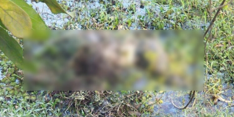 সোনারগাঁয়ে বস্তা ভর্তি অবস্থায় অটো চালকের লাশ উদ্ধার