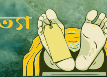 ইশ্বরগ‌ঞ্জে ছেলের হাতে মা খুন