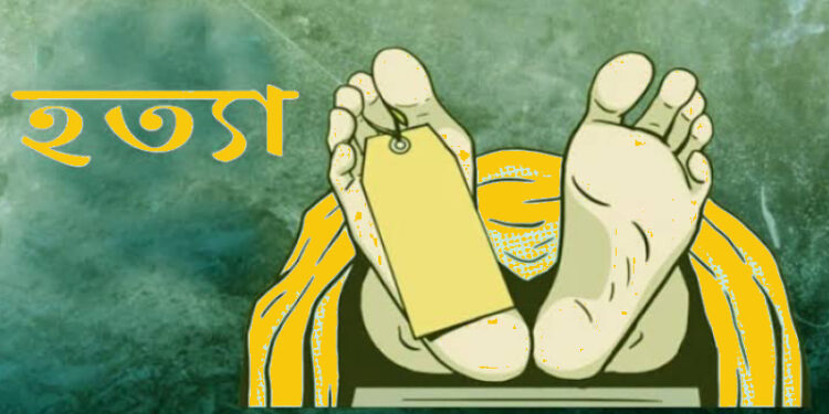 ইশ্বরগ‌ঞ্জে ছেলের হাতে মা খুন