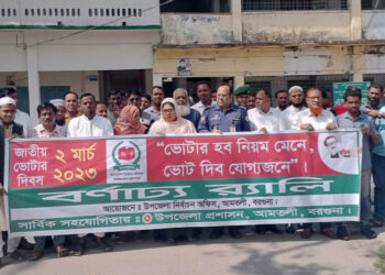 আমতলীতে জাতীয় ভোটার দিবস পালিত