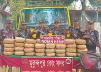 বিজয়নগরে বিজিবি’র অভিযানে ১০৭ কেজি গাঁজাসহ দুইটি গাড়ি জব্দ
