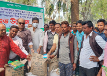 রাণীশংকৈলে কৃষক পাচ্ছে বিনামূল্য পাটসহ সার ও ধান বীজ 