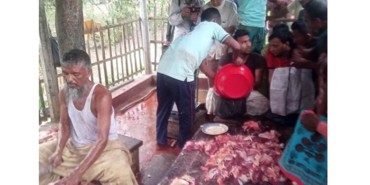 বগুড়ায় ৫৮০ টাকা কেজি দরে গরুর মাংস বিক্রি করছেন কালু কসাই!