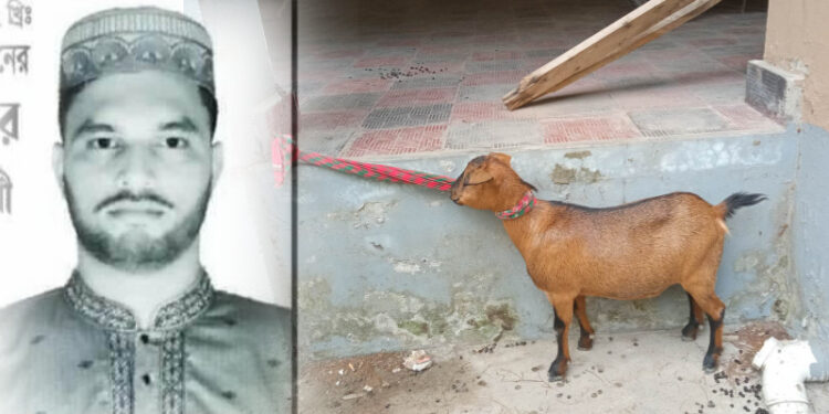 ছাগল চুরি করে পালানোর সময় ইউপি সদস্য আটক