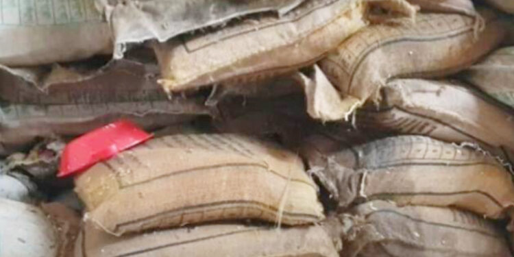 বগুড়ায় করোনাকালীন ২২১ বস্তা ত্রাণ সামগ্রী বিতরণ না করে নষ্ট করলেন ইউএনও