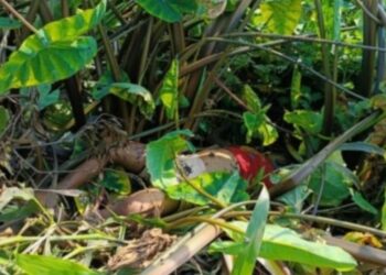 বন্দরে নিখোঁজের ২দিন পর শিশুর লাশ উদ্ধার