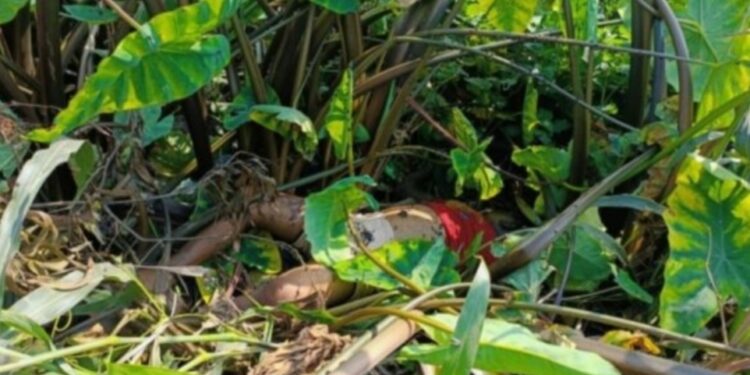বন্দরে নিখোঁজের ২দিন পর শিশুর লাশ উদ্ধার