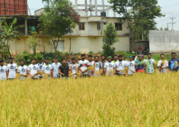 বর্গাচাষী বেলালের ধান কেটে দিলেন জামালপুর ছাত্রলীগ