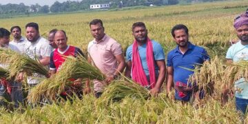হতদরিদ্র কৃষকের ধান কেটে দিচ্ছেন সোনারগাঁ উপজেলা আওয়ামী লীগ।